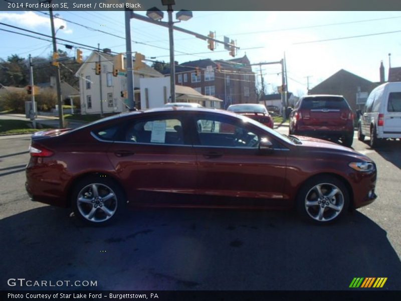 Sunset / Charcoal Black 2014 Ford Fusion SE