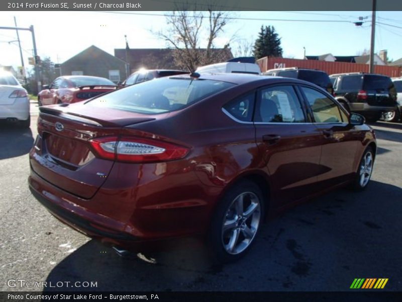 Sunset / Charcoal Black 2014 Ford Fusion SE