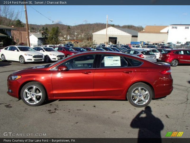 Sunset / Charcoal Black 2014 Ford Fusion SE