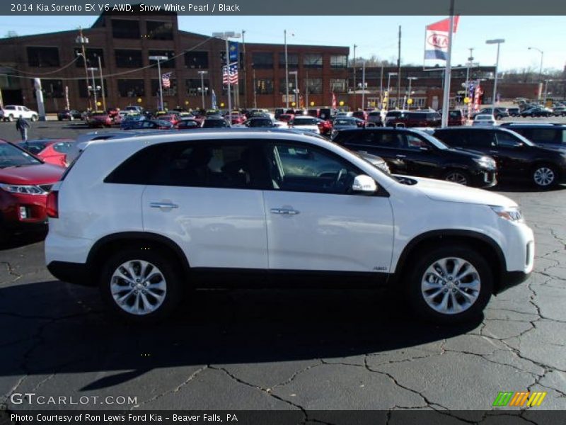 Snow White Pearl / Black 2014 Kia Sorento EX V6 AWD