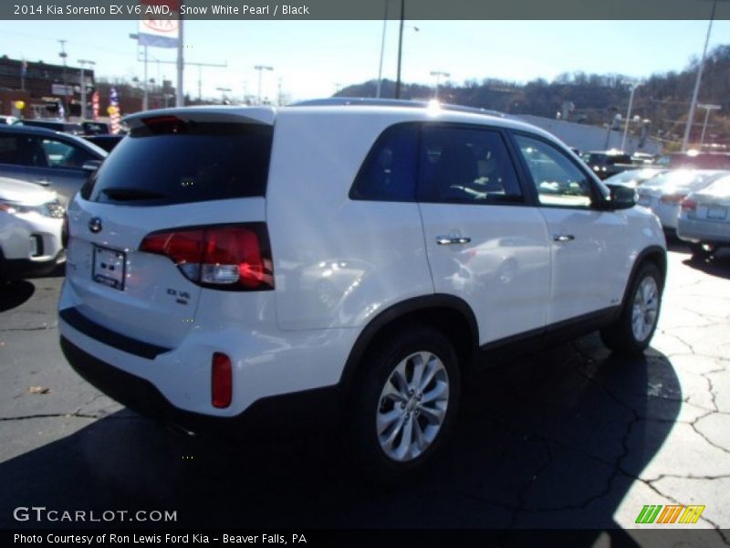 Snow White Pearl / Black 2014 Kia Sorento EX V6 AWD