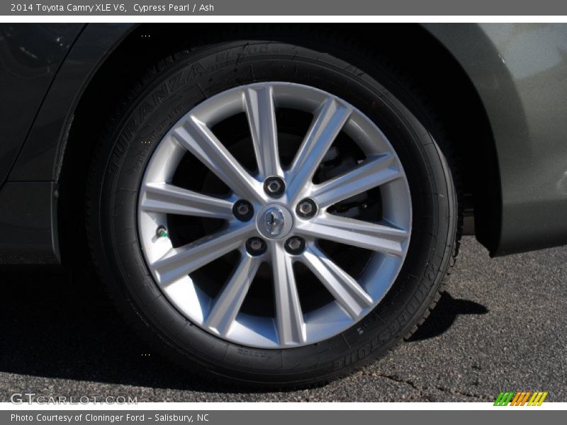 Cypress Pearl / Ash 2014 Toyota Camry XLE V6