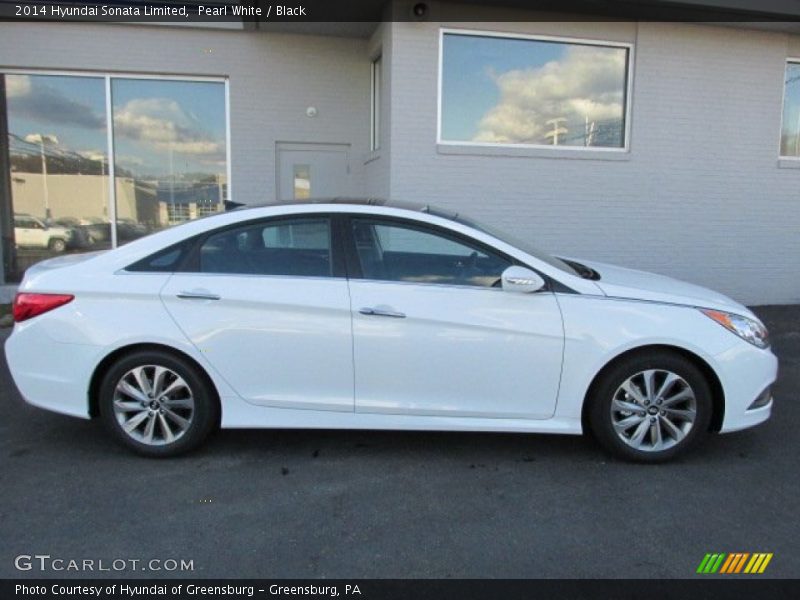Pearl White / Black 2014 Hyundai Sonata Limited