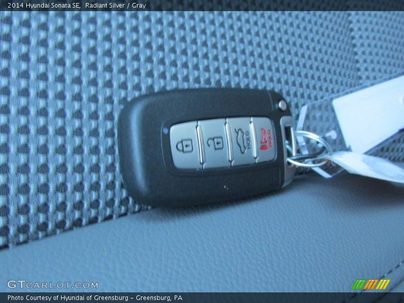Radiant Silver / Gray 2014 Hyundai Sonata SE