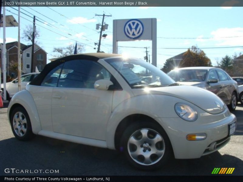 Harvest Moon Beige / Black 2003 Volkswagen New Beetle GLX 1.8T Convertible