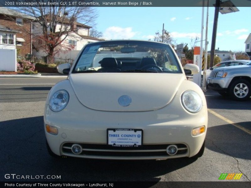 Harvest Moon Beige / Black 2003 Volkswagen New Beetle GLX 1.8T Convertible