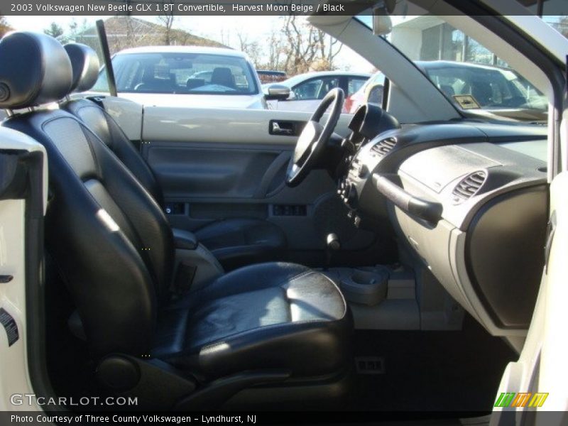 Harvest Moon Beige / Black 2003 Volkswagen New Beetle GLX 1.8T Convertible