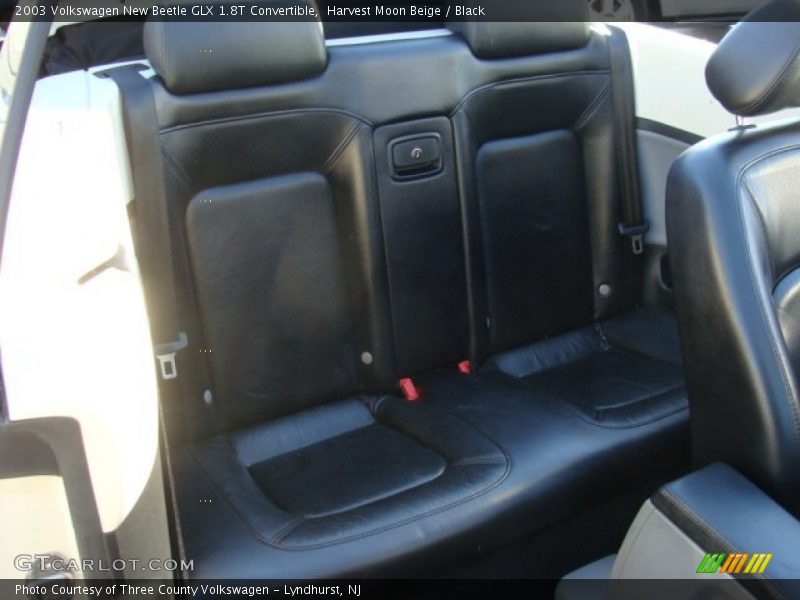 Harvest Moon Beige / Black 2003 Volkswagen New Beetle GLX 1.8T Convertible