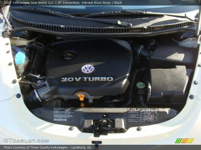 Harvest Moon Beige / Black 2003 Volkswagen New Beetle GLX 1.8T Convertible