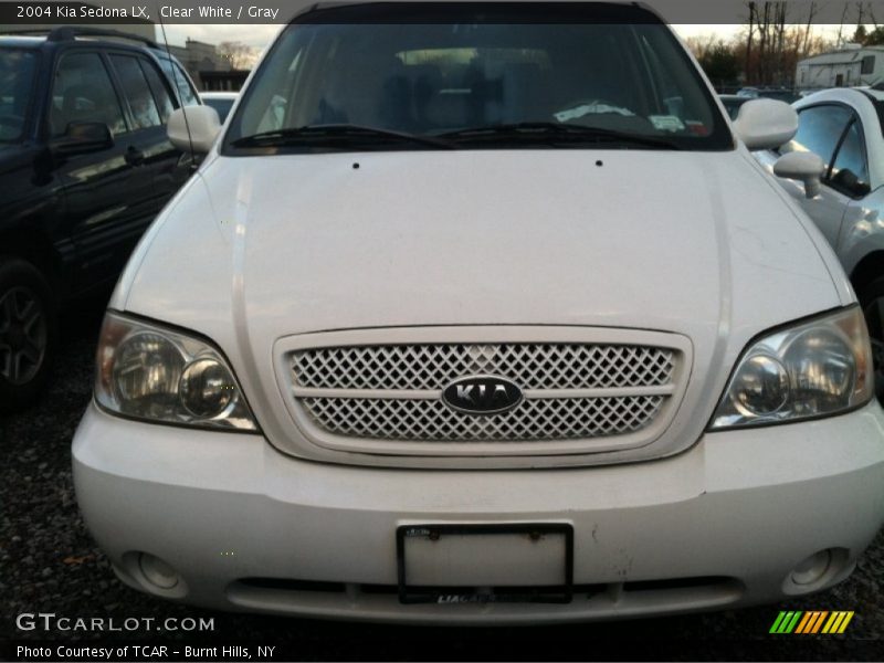 Clear White / Gray 2004 Kia Sedona LX