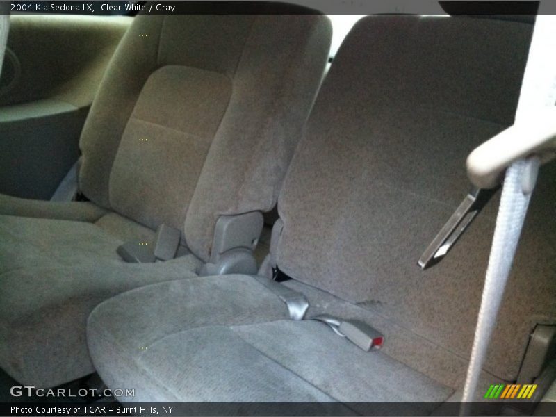 Clear White / Gray 2004 Kia Sedona LX