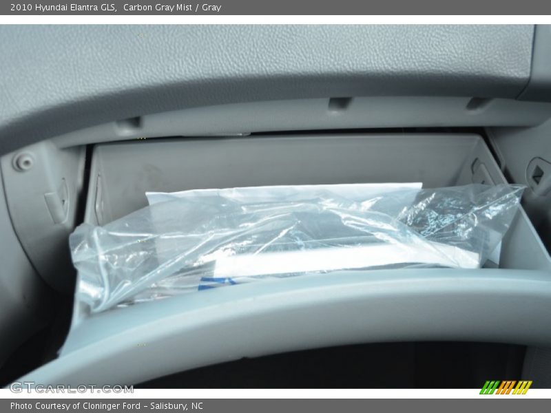 Carbon Gray Mist / Gray 2010 Hyundai Elantra GLS