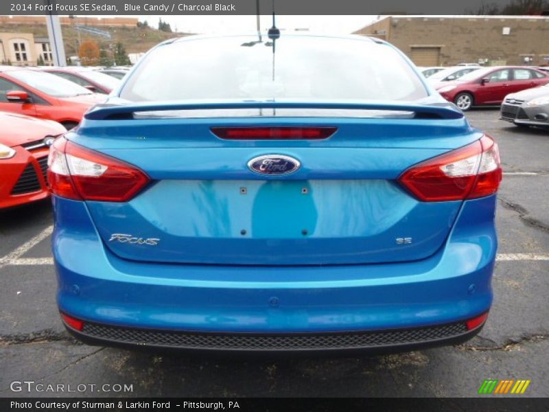 Blue Candy / Charcoal Black 2014 Ford Focus SE Sedan