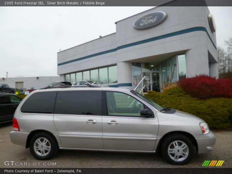 Silver Birch Metallic / Pebble Beige 2005 Ford Freestar SEL