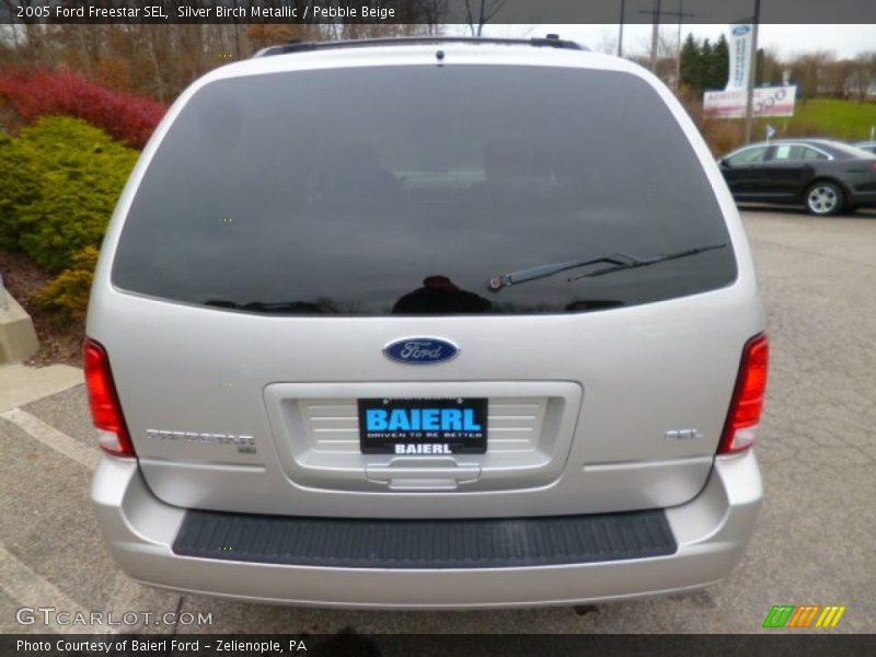 Silver Birch Metallic / Pebble Beige 2005 Ford Freestar SEL
