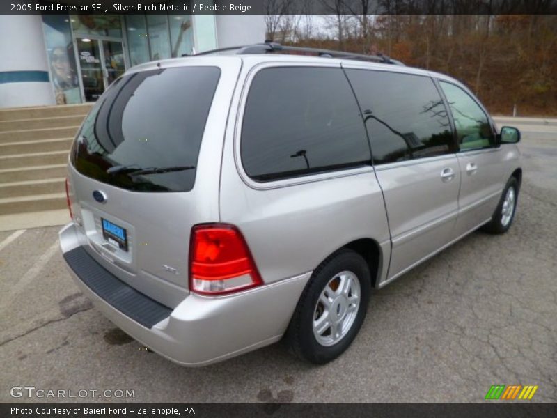 Silver Birch Metallic / Pebble Beige 2005 Ford Freestar SEL