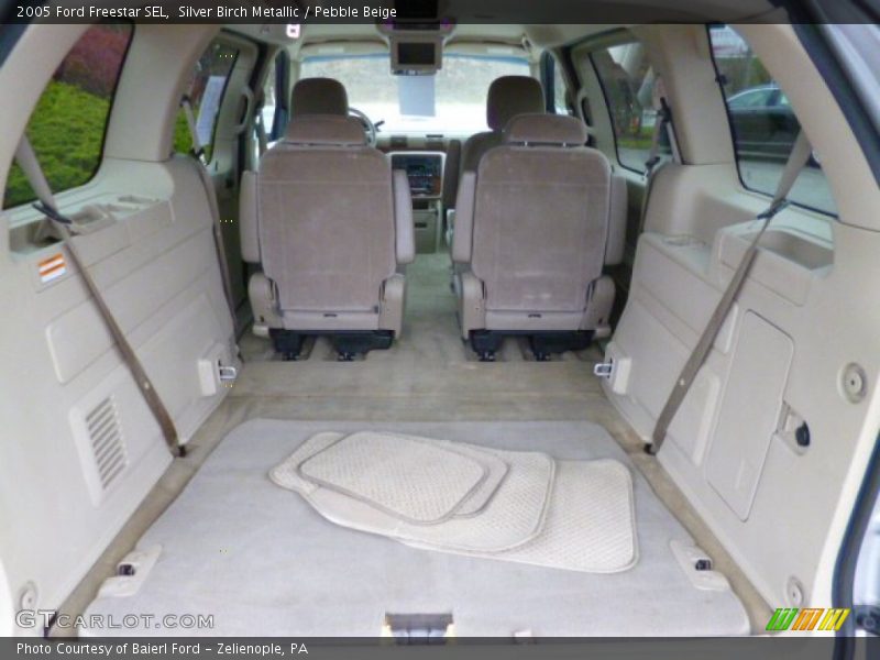 Silver Birch Metallic / Pebble Beige 2005 Ford Freestar SEL