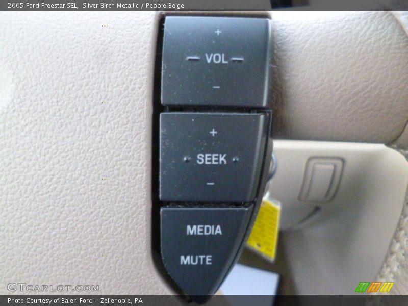 Silver Birch Metallic / Pebble Beige 2005 Ford Freestar SEL