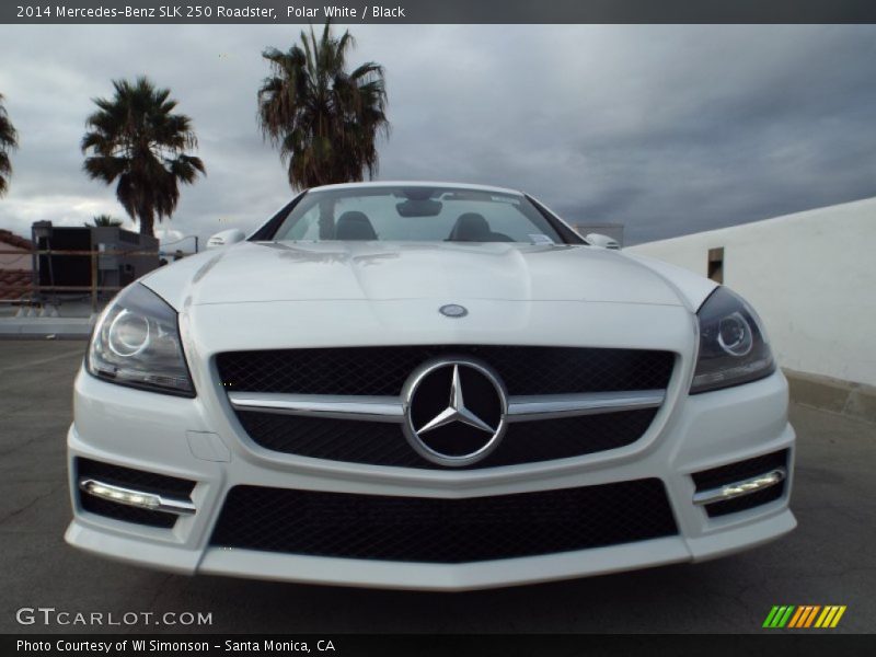 Polar White / Black 2014 Mercedes-Benz SLK 250 Roadster