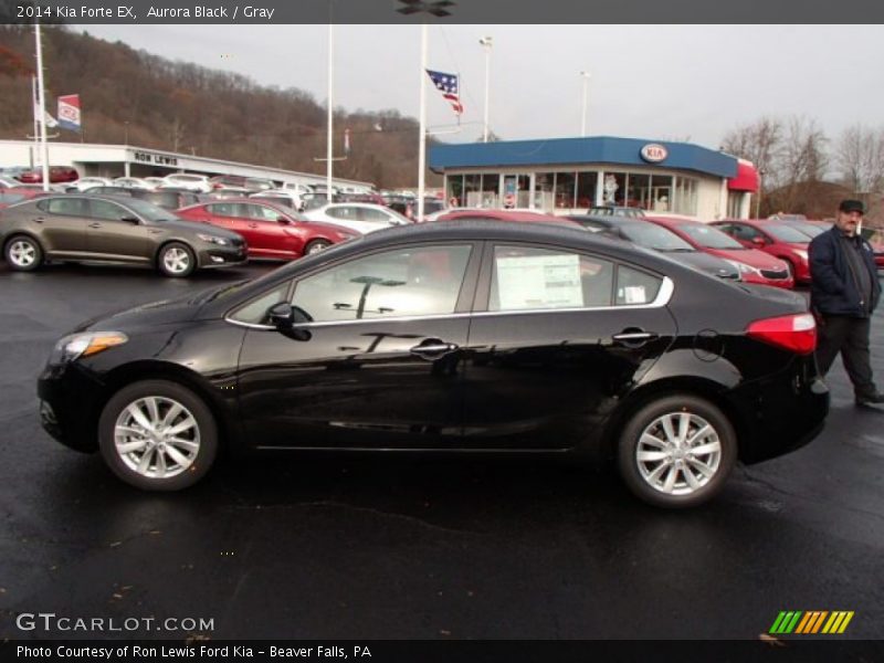 Aurora Black / Gray 2014 Kia Forte EX