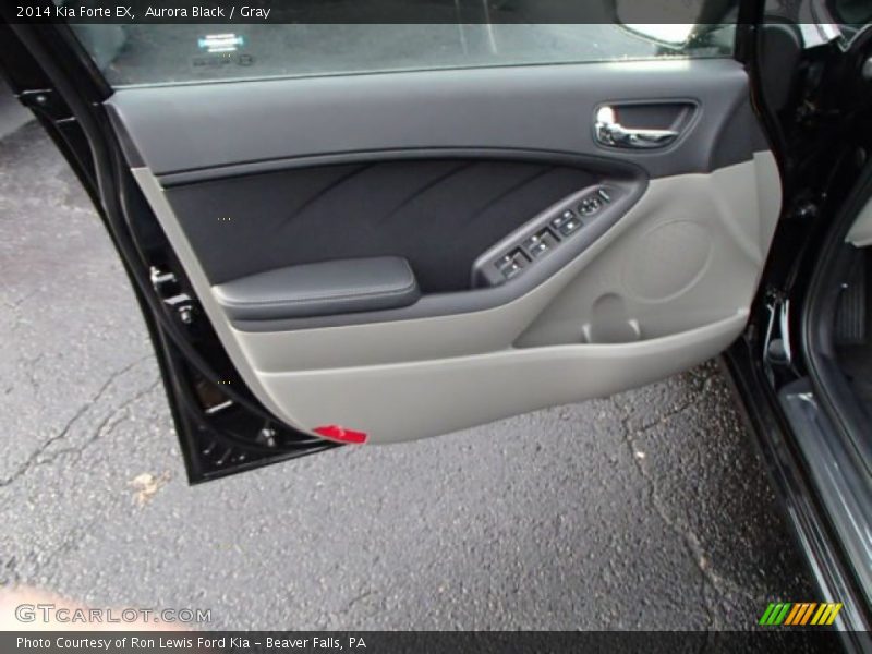 Aurora Black / Gray 2014 Kia Forte EX