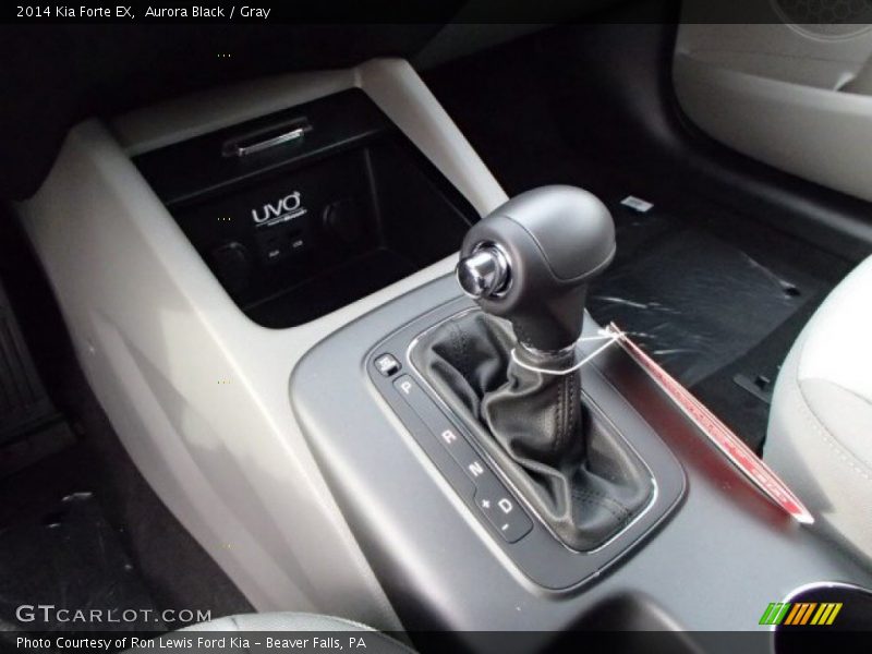 Aurora Black / Gray 2014 Kia Forte EX