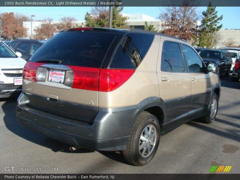 Light Driftwood Metallic / Medium Oak 2003 Buick Rendezvous CX