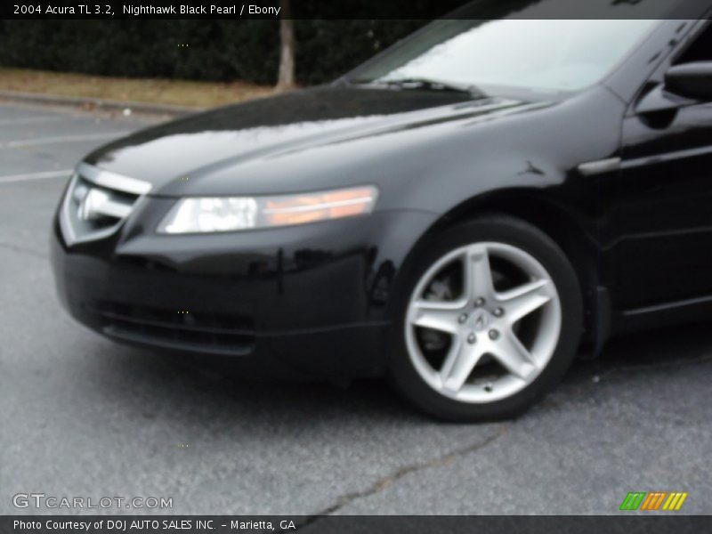 Nighthawk Black Pearl / Ebony 2004 Acura TL 3.2