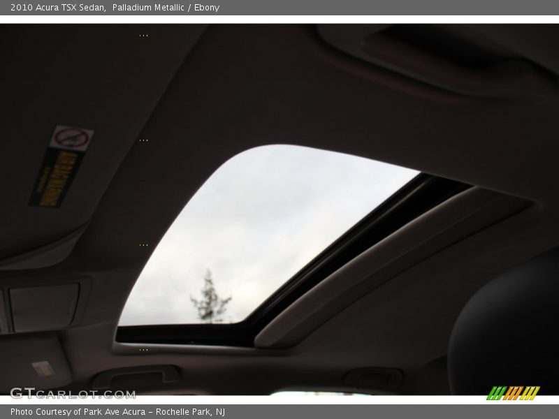 Palladium Metallic / Ebony 2010 Acura TSX Sedan