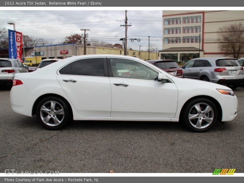 Bellanova White Pearl / Ebony 2012 Acura TSX Sedan