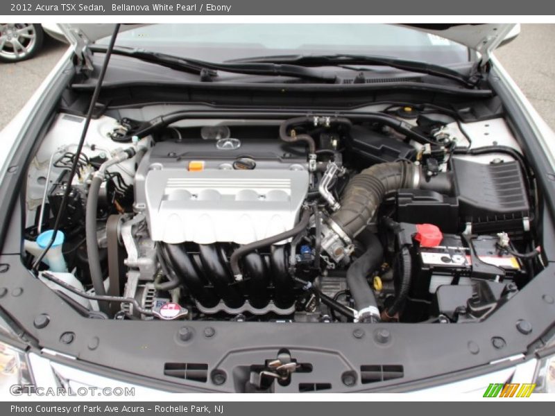 Bellanova White Pearl / Ebony 2012 Acura TSX Sedan