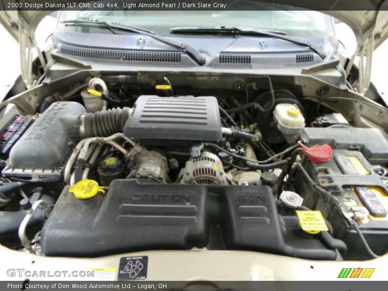 Light Almond Pearl / Dark Slate Gray 2003 Dodge Dakota SLT Club Cab 4x4