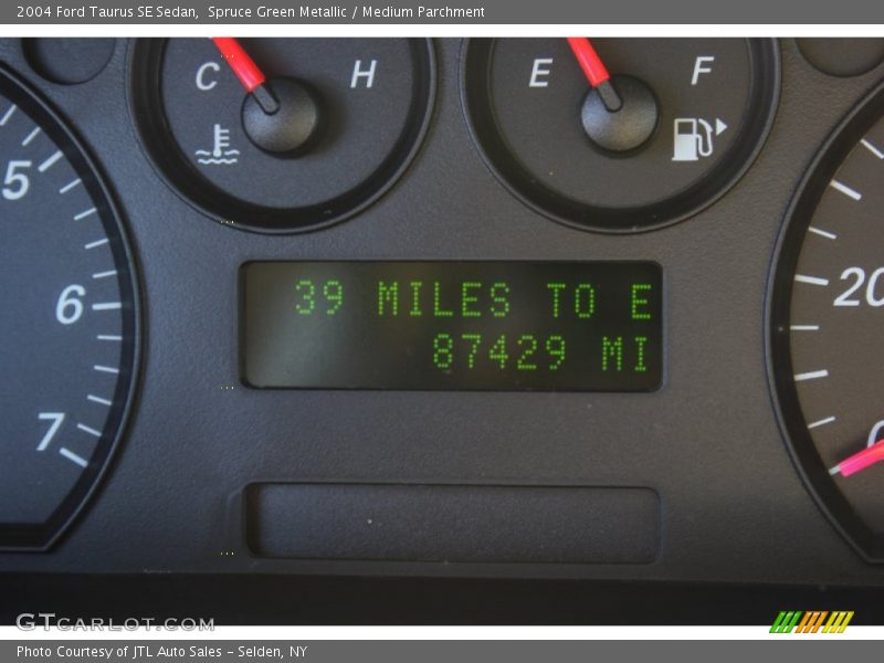 Spruce Green Metallic / Medium Parchment 2004 Ford Taurus SE Sedan