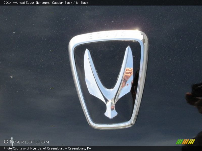 Caspian Black / Jet Black 2014 Hyundai Equus Signature