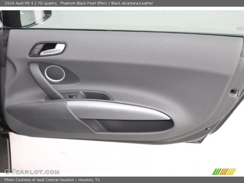 Door Panel of 2009 R8 4.2 FSI quattro