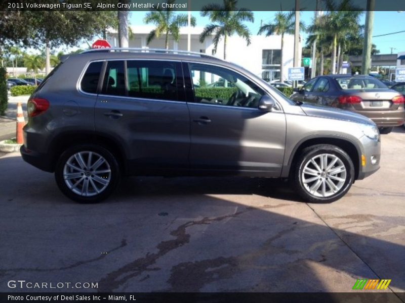 Alpine Gray Metallic / Charcoal 2011 Volkswagen Tiguan SE
