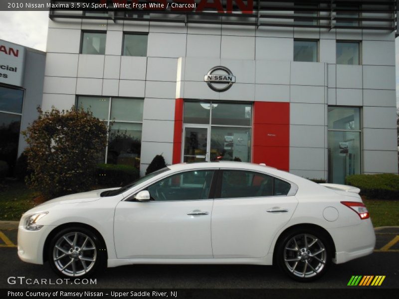 Winter Frost White / Charcoal 2010 Nissan Maxima 3.5 SV Sport