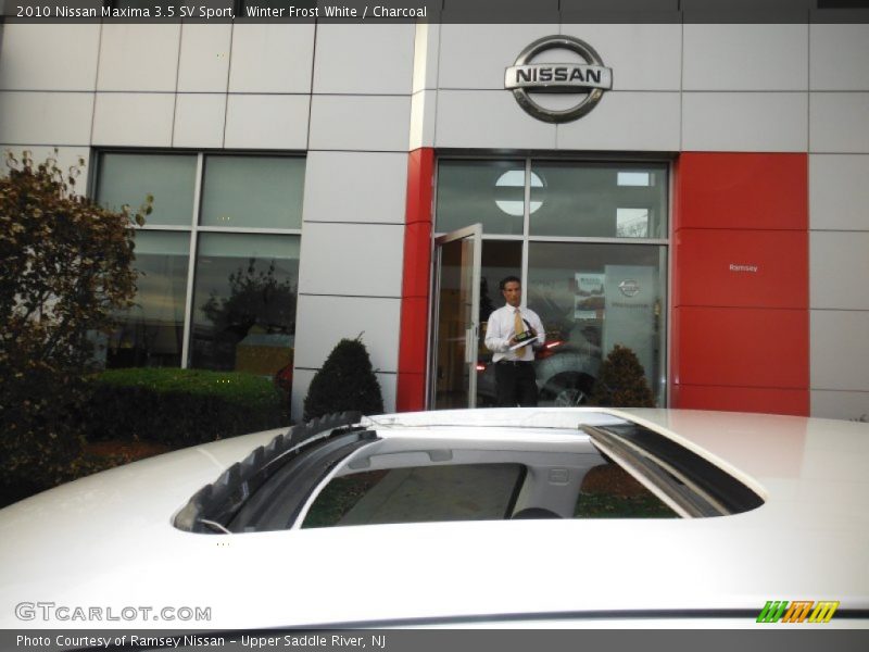 Winter Frost White / Charcoal 2010 Nissan Maxima 3.5 SV Sport