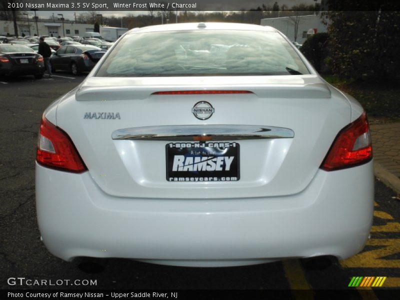 Winter Frost White / Charcoal 2010 Nissan Maxima 3.5 SV Sport