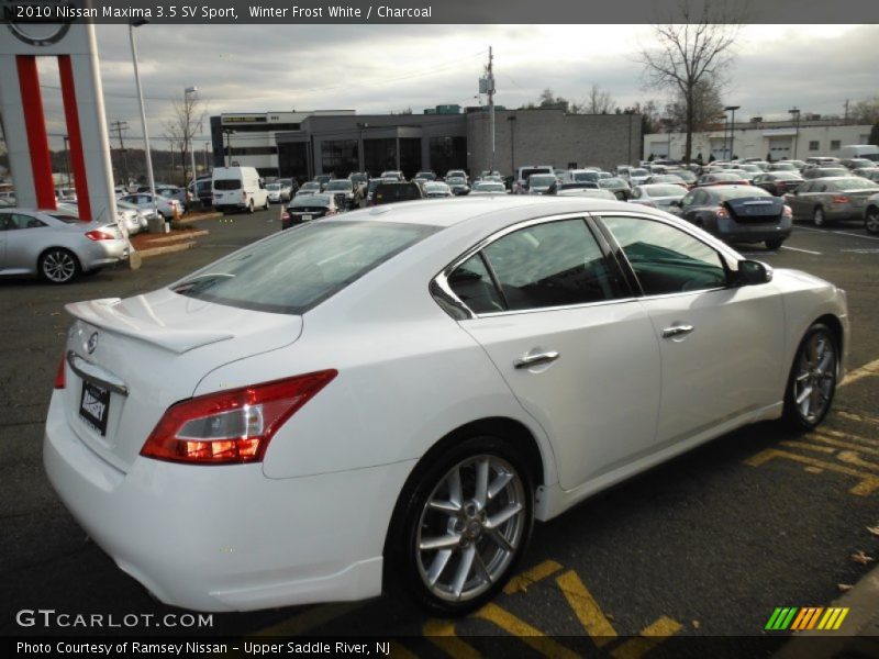 Winter Frost White / Charcoal 2010 Nissan Maxima 3.5 SV Sport