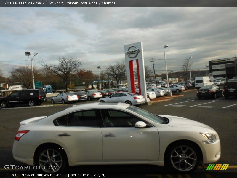Winter Frost White / Charcoal 2010 Nissan Maxima 3.5 SV Sport