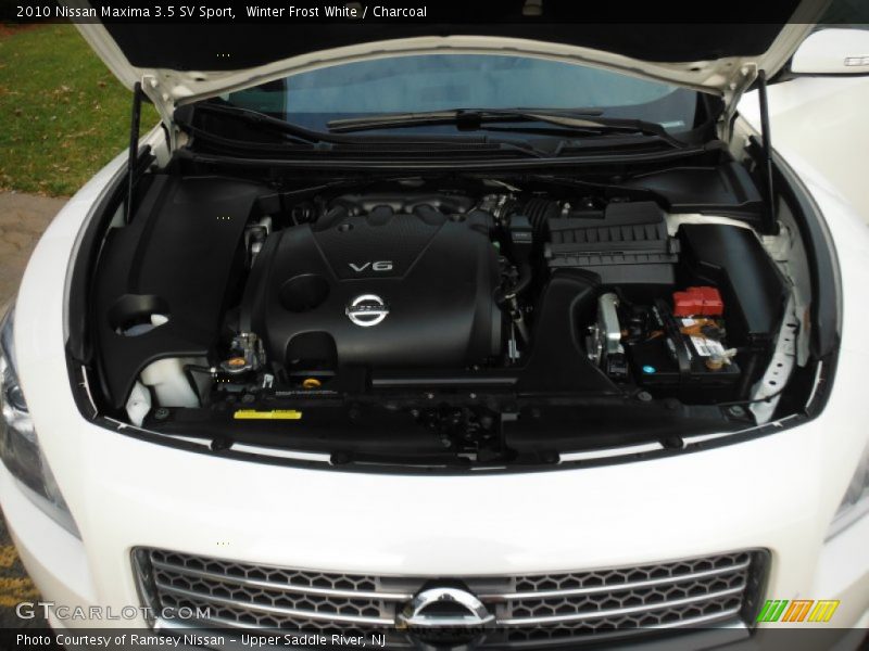 Winter Frost White / Charcoal 2010 Nissan Maxima 3.5 SV Sport
