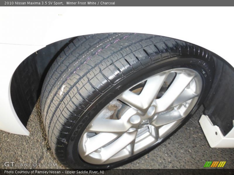 Winter Frost White / Charcoal 2010 Nissan Maxima 3.5 SV Sport
