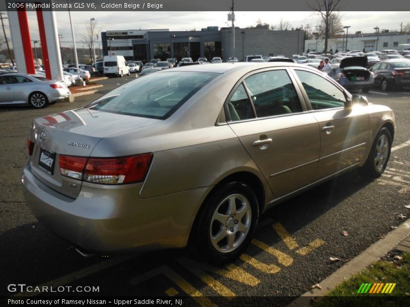 Golden Beige / Beige 2006 Hyundai Sonata GLS V6