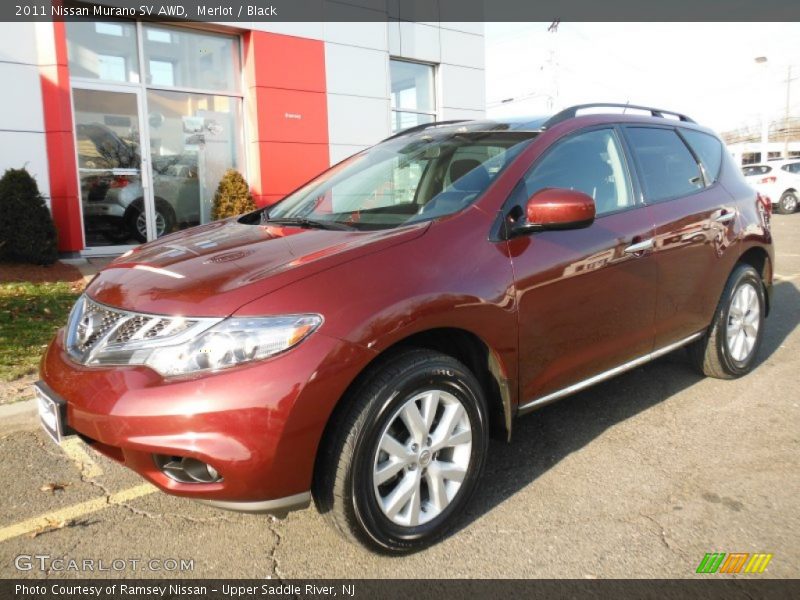 Merlot / Black 2011 Nissan Murano SV AWD