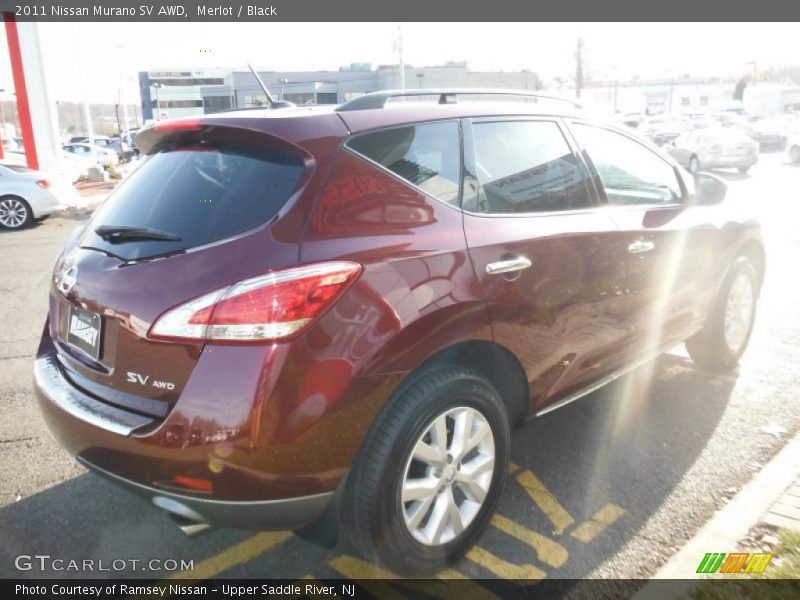 Merlot / Black 2011 Nissan Murano SV AWD