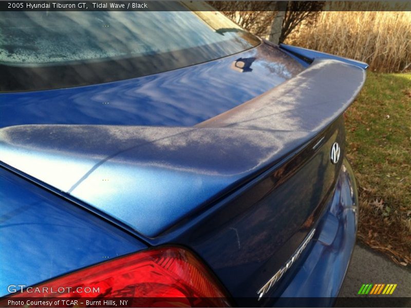 Tidal Wave / Black 2005 Hyundai Tiburon GT