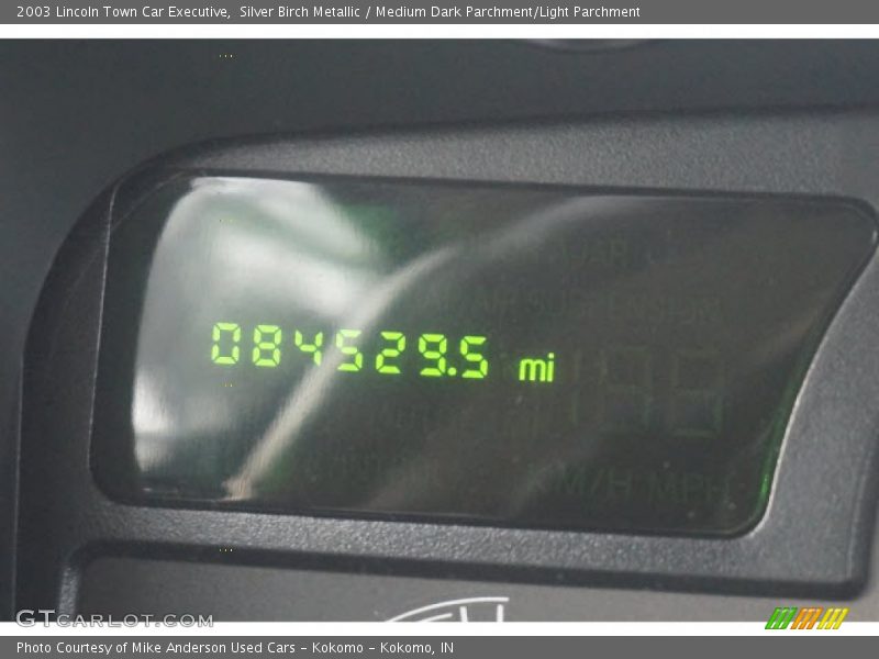 Silver Birch Metallic / Medium Dark Parchment/Light Parchment 2003 Lincoln Town Car Executive
