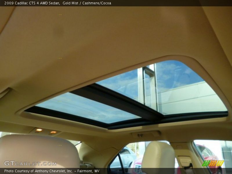 Gold Mist / Cashmere/Cocoa 2009 Cadillac CTS 4 AWD Sedan
