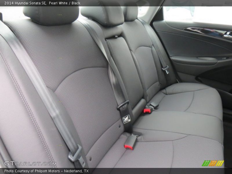 Pearl White / Black 2014 Hyundai Sonata SE